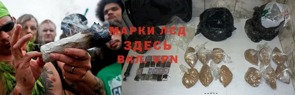 гашик Магас