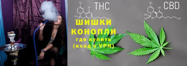метадон Алексин