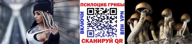 Псилоцибиновые грибы GOLDEN TEACHER  сколько стоит  mega ССЫЛКА  Рошаль 